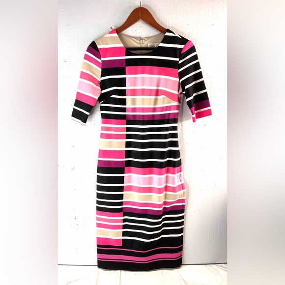 Eliza J Dresses & Skirts - Eliza J 6 Contemporary Workwear Fitted Striped Knee Length Dress in Pink n Black